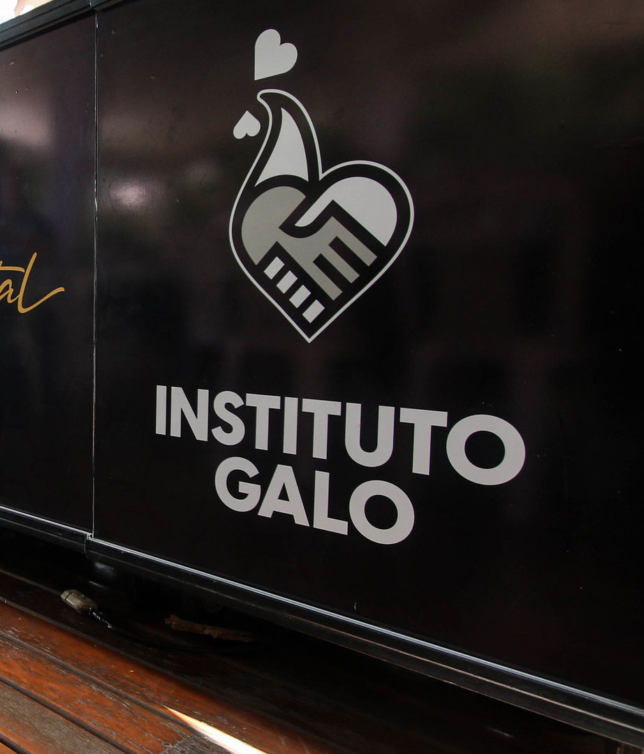 Instituto Galo