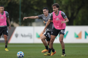 Galo segue para Lima