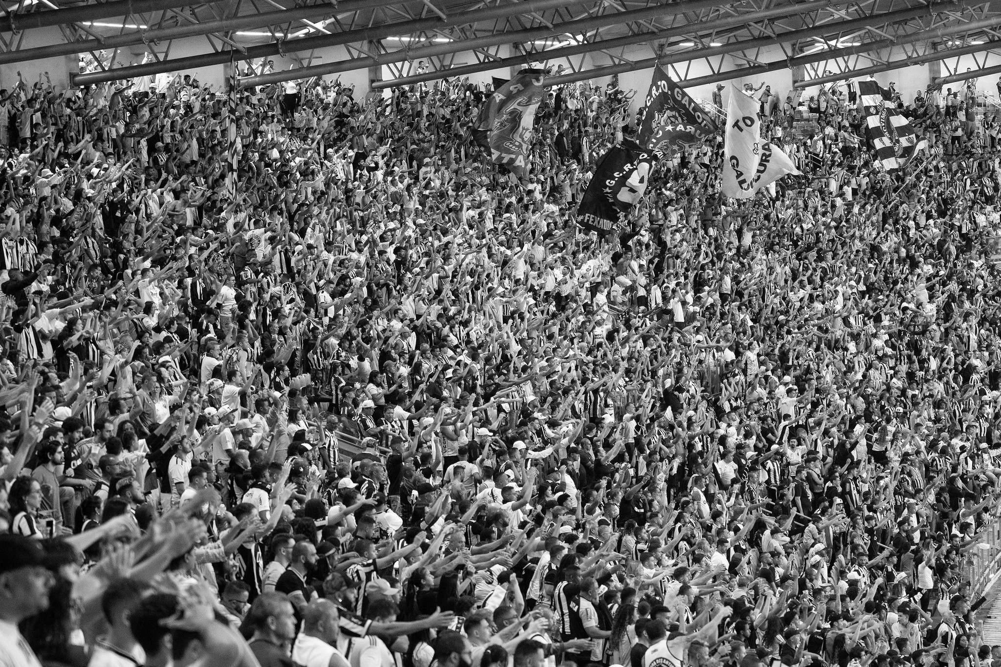 Palmeiras Foot Ball Club - Belo Horizonte-MG