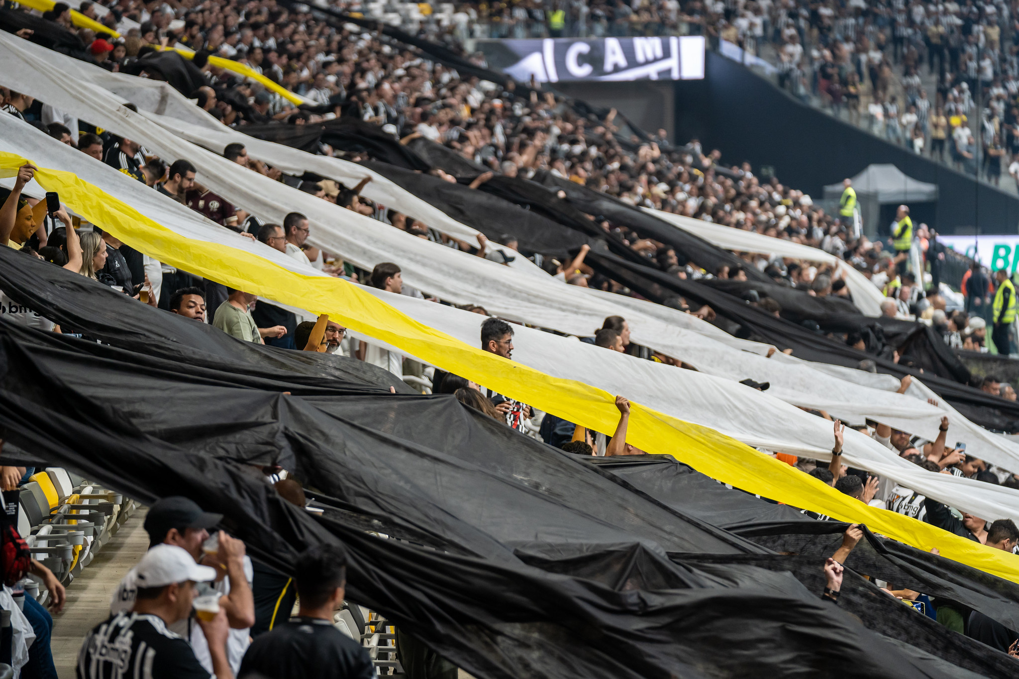 Foto: Daniela Veiga/Galo