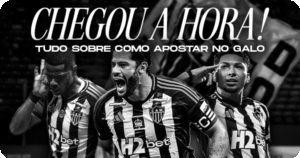 Como apostar no Galo: guia completo para apostadores