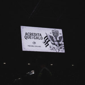 Acredita que é Galo!