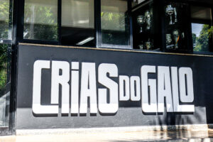 Balanço das Categorias de Base em 2025