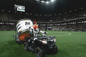 Galo vira samba-enredo da Imperavi de Ouros em 2026