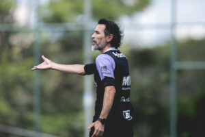 Informações do treino do Galo: 30/03