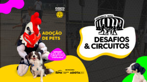 Movimenta Arena: Instituto Galo abre fim de semana na Casa do Galo