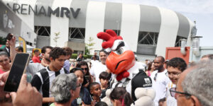 Resumo de atividades do Instituto Galo