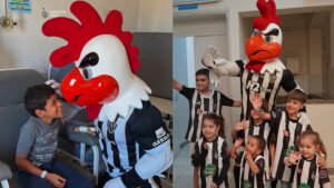 Resumo das atividades do Instituto Galo