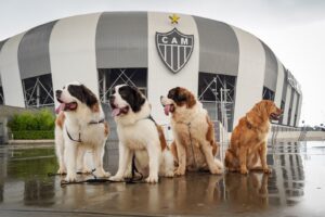 Foto: Dani Veiga / Atlético